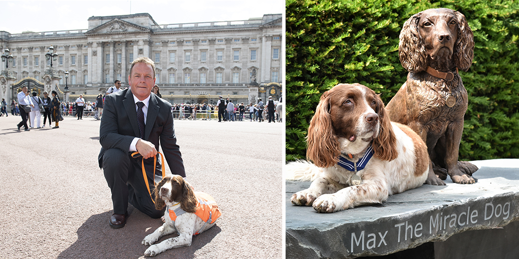 Statue unveiled of 'the world's therapy dog'